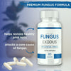 Image of (3 Pack) Fungus Exodus Supplement Pills 180 Capsules - ARMOLEY
