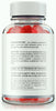 Image of Keto IQ ACV 60 Gummies - ARMOLEY